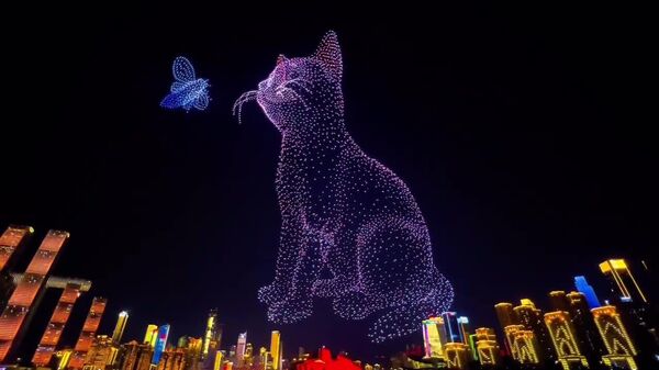 #viral | Chongqing's Night Sky Transformed: 1,000 Drones Shape a Giant Cat Silhouette in China - Sputnik Africa