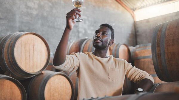 Zimbabwe Slashes Raw Wine Import Costs to Boost Domestic Wineries - Sputnik Africa