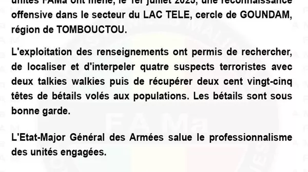 Les FAMA font état d'une offensive réussie à Goundam - Sputnik Afrique