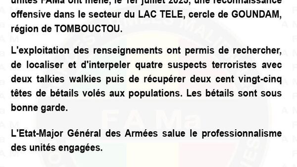 Les FAMA font état d'une offensive réussie à Goundam - Sputnik Afrique