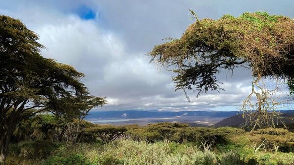 Tanzania's Ngorongoro Unveils Digital Platform for Global Tourist Payments - Sputnik Africa