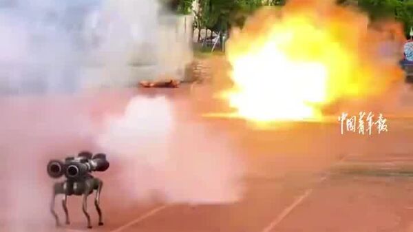 #viral | Chinese University Student With Military Training Creates Robotic Rocket Dog With Firepower - Sputnik Africa