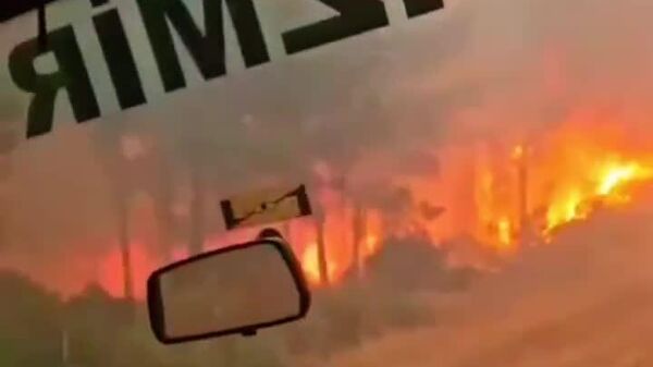 #viral | 'This is Real Hell': Forestry Workers Escape Encircling Flames in Close Call - Sputnik Africa