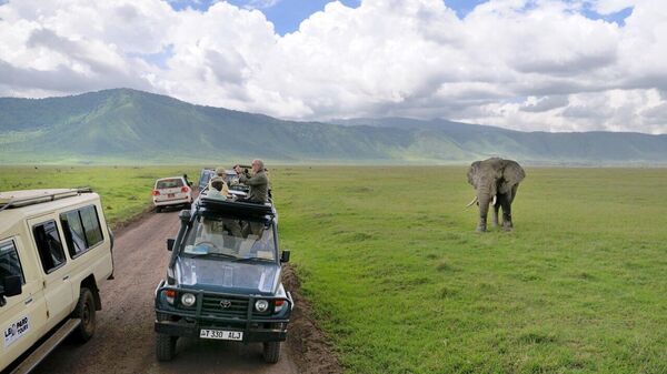 Tanzania Mandates $44 Travel Insurance for Foreign Visitors - Sputnik Africa