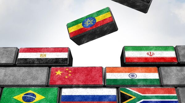 Cooperation Between BRICS, Global South & East is Driving Global Economy, Russian Official Says - Sputnik Africa
