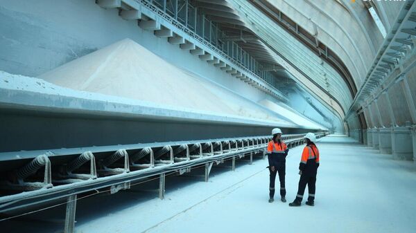 Russia to Increase Supply of Fertilizers to BRICS & Global South Countries - Sputnik Africa