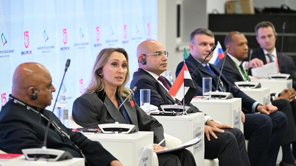 Vice President of JSC Russian Export Center Tatyana An, participating in a round table on Russian-African industrial cooperation within the framework of the International Industrial Exhibition Innoprom in Yekaterinburg. - Sputnik Africa