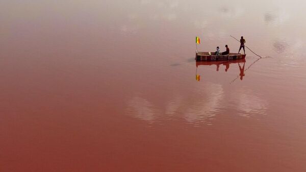 Senegal’s Pink Lake Returns to Its Famous Hue - Sputnik Africa