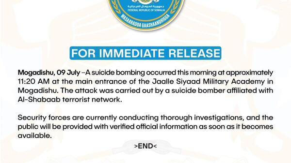 Suicide Bomber Strikes in Somalia - Sputnik Africa
