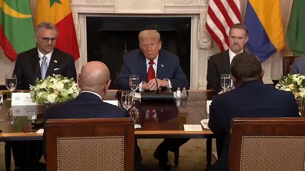 Trump to African Presidents: 'If I Could Just Ask Your Name & Your Country, Would Be Great' - Sputnik Africa
