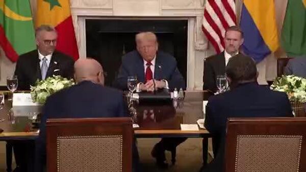 Trump addresses African presidents: If I could just ask your name and your country, would be great - Sputnik Africa