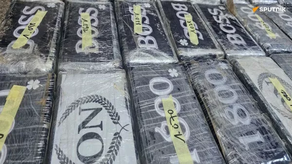 De la cocaïne pure d'une valeur de plus de 1,2 Mds de FCFA saisis au Mali - Sputnik Afrique