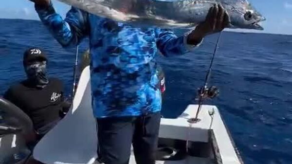 #viral | Fishermen Catch Huge Fish With Metallic Sheen - Sputnik Africa