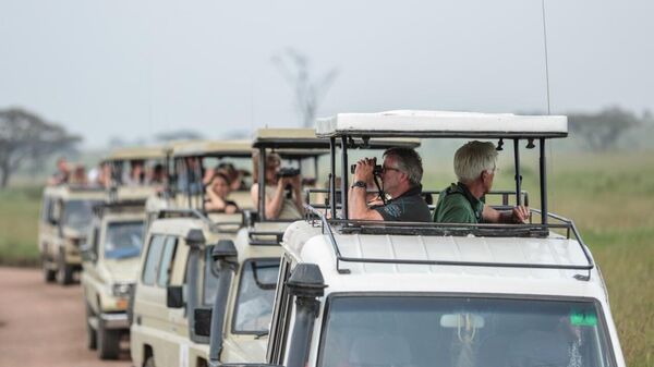 Tanzania Sets Ambitious Goal: 8 Million Tourists Annually by 2030 to Fuel Economic Growth - Sputnik Africa