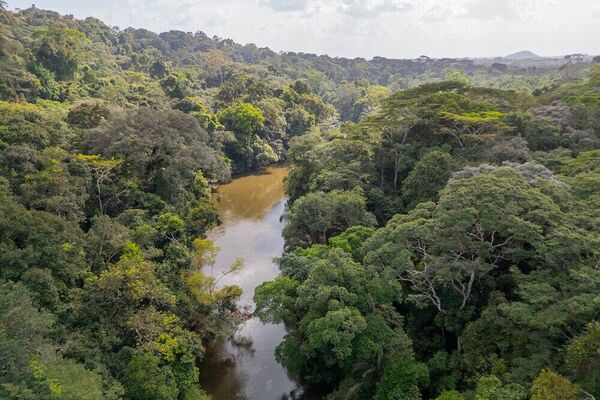 Sites From Cameroon, Malawi, Sierra Leone, Mozambique & Guinea Bissau Added to UNESCO World Heritage List Sites From Cameroon, Malawi, Sierra Leone, Mozambique & Guinea Bissau Added to UNESCO World Heritage List - Sputnik Africa