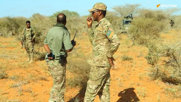 Les forces somaliennes tuent 15 terroristes d'Al-Shabaab* venus en renfort dans la région de Hiiran - Sputnik Afrique