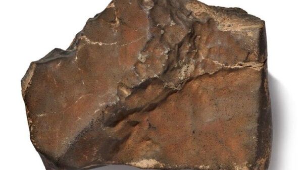 From Mars to Niger: Largest Known Martian Meteorite Up for Auction - Sputnik Africa
