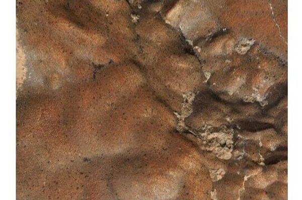 From Mars to Niger: Largest Known Martian Meteorite Up for Auction From Mars to Niger: Largest Known Martian Meteorite Up for Auction - Sputnik Africa