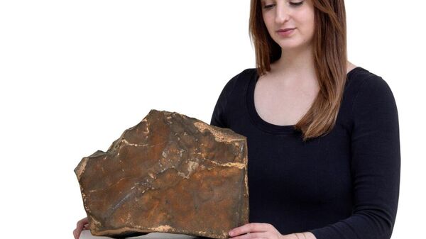 Largest Mars Fragment on Earth Sells for $5 - Sputnik Africa