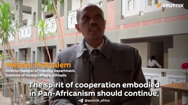 Pan-African Cooperation is the Goal: Ethiopian Official Stresses Unity Over Shared Resources - Sputnik Africa