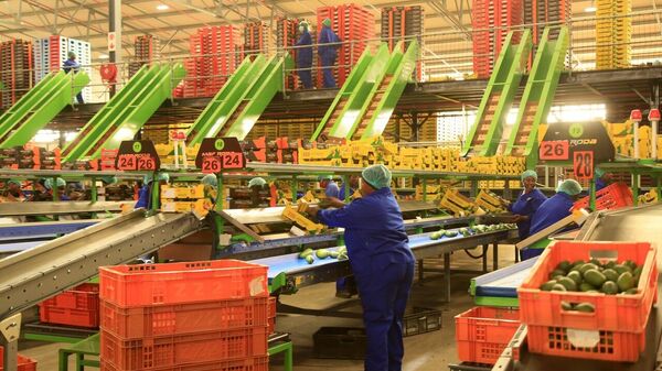 US Tariffs May Spur South Africa’s Shift to BRICS Markets, Says Expert - Sputnik Africa