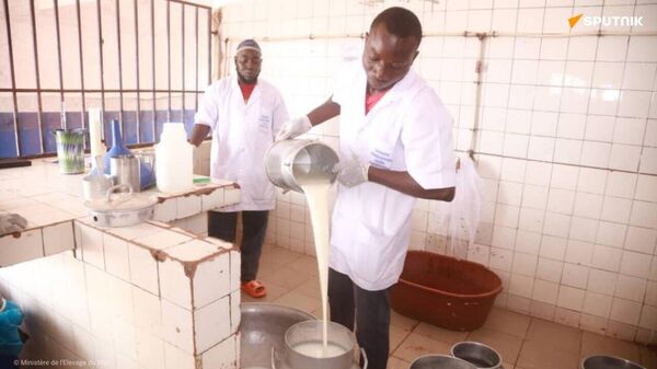 Lait, poisson et volaille made in Mali: le Ministre de l'Élevage se dit satisfait des progrès observés - Sputnik Afrique