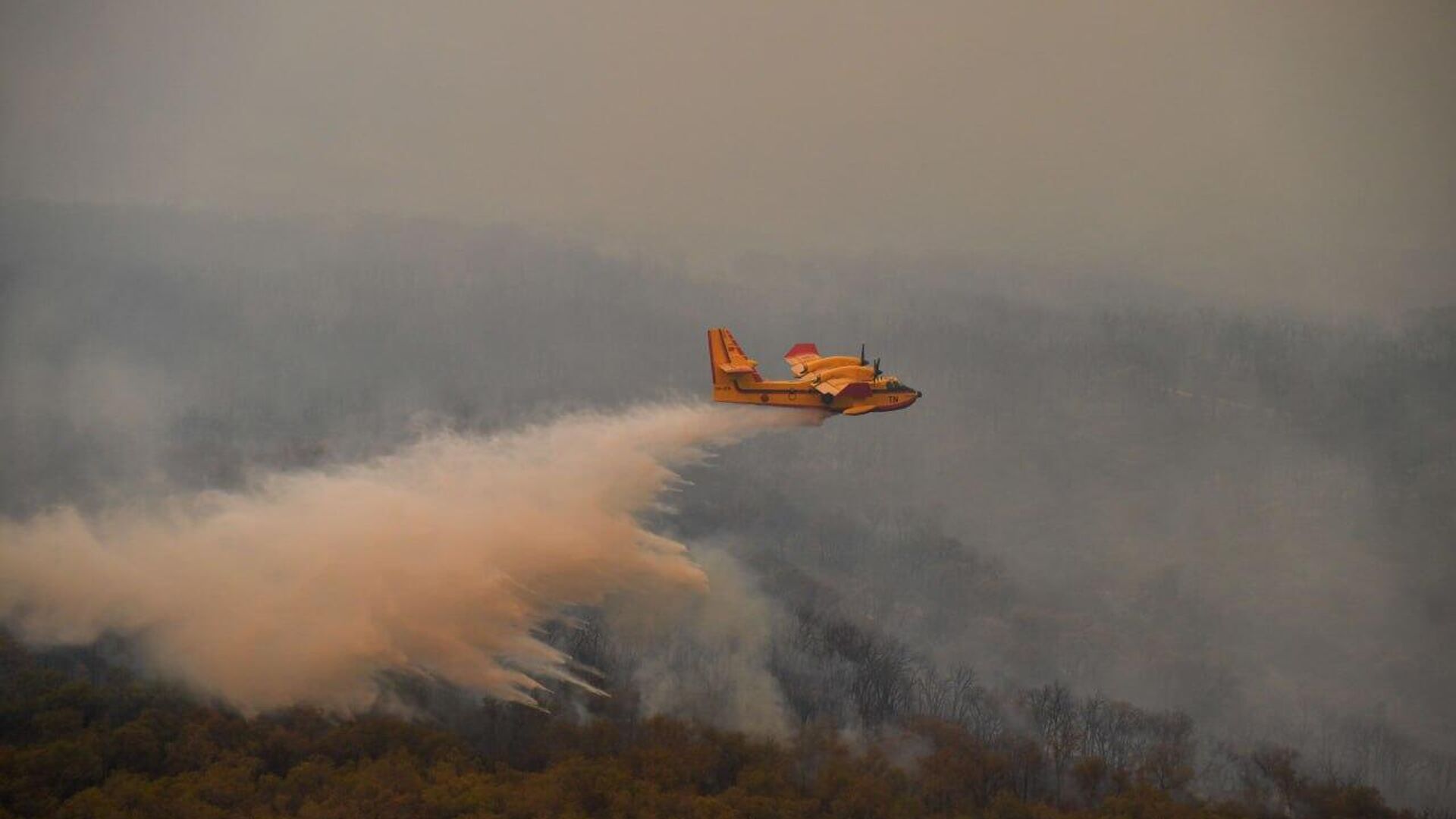 Moroccan Authorities Combat Forest Fire Near Tetouan Moroccan Authorities Combat Forest Fire Near Tetouan - Sputnik Africa, 1920, 20.07.2025
