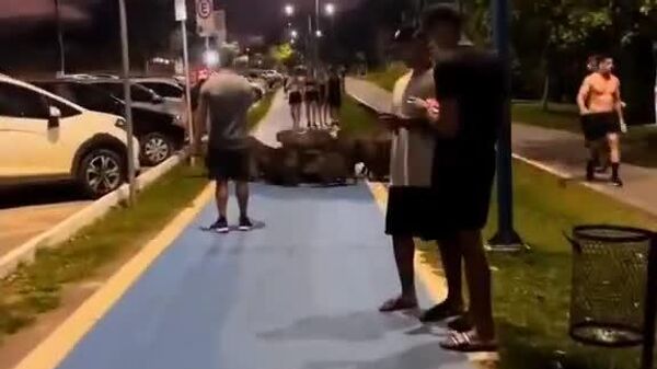 #viral | Cutest Roadblock Ever: Capybaras Paralyze Brazilian Street - Sputnik Africa