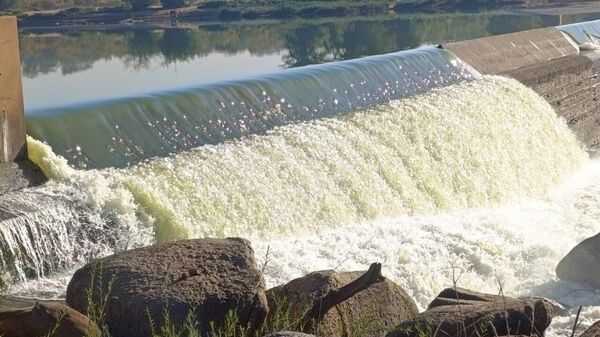 Limpopo River Declared Safe After Green Algae Scare - Sputnik Africa