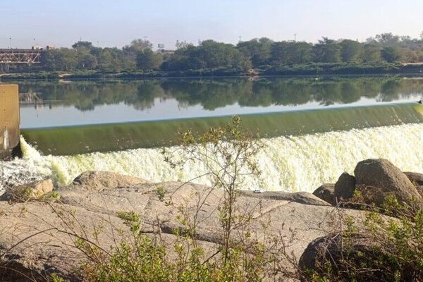 Limpopo River Declared Safe After Green Algae Scare Limpopo River Declared Safe After Green Algae Scare - Sputnik Africa
