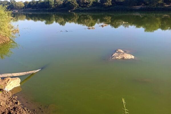 Limpopo River Declared Safe After Green Algae Scare Limpopo River Declared Safe After Green Algae Scare - Sputnik Africa
