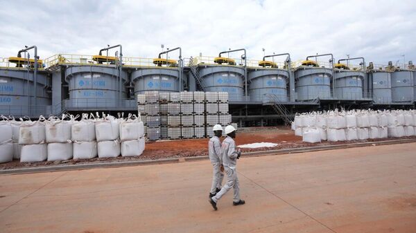 Zimbabwe's Lithium Exports Jump 30% Despite Global Price Crash - Sputnik Africa