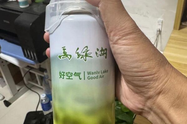 L’air en boîte: la nouvelle tendance qui respire le succès en Chine - Sputnik Afrique