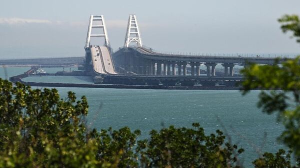 Group of Five Suspects From Ukraine, Georgia Wanted in Crimean Bridge Terrorist Attack Case, Russia's Chief Investigator Says - Sputnik Africa