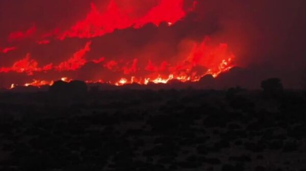 ▶ Un incendie de forêt dévore la réserve naturelle du mont Cofano en Sicile - Sputnik Afrique