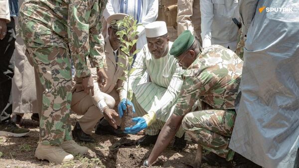 Lancement de la 31e campagne nationale de reboisement contre la désertification au Mali - Sputnik Afrique