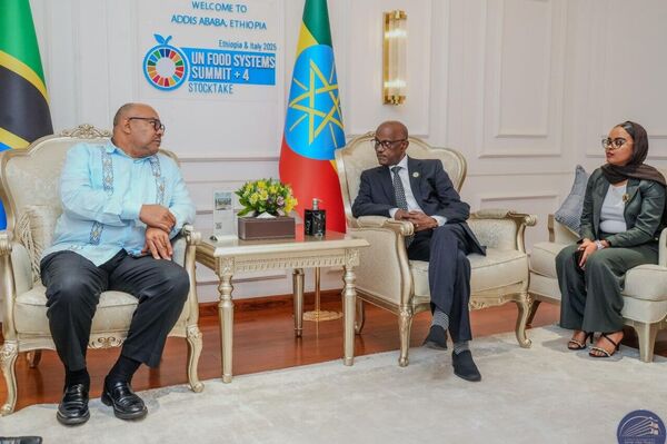 World Leaders, Government Officials Arrive in Addis Ababa for 2nd UN Food Systems Summit Stocktake +4 World Leaders, Government Officials Arrive in Addis Ababa for 2nd UN Food Systems Summit Stocktake +4 - Sputnik Africa