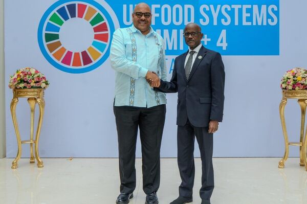 World Leaders, Government Officials Arrive in Addis Ababa for 2nd UN Food Systems Summit Stocktake +4 World Leaders, Government Officials Arrive in Addis Ababa for 2nd UN Food Systems Summit Stocktake +4 - Sputnik Africa