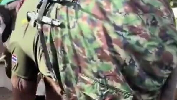 Un éléphant thaïlandais se montre vraiment prêt au combat - Sputnik Afrique