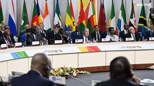 Historical Foundation of Ties Between Russia and Africa Need Strengthening: Expert - Sputnik Africa