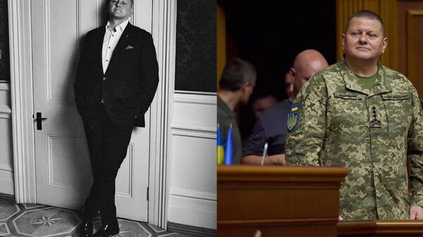 Military Cinderella: Who's Valery Zaluzhny, West's replacement for Zelensky? - Sputnik Africa