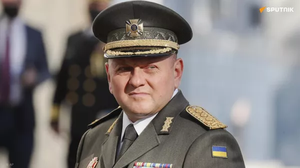 Une Cendrillon militaire? Qui est Valeri Zaloujny qui pourrait remplacer Zelensky? - Sputnik Afrique