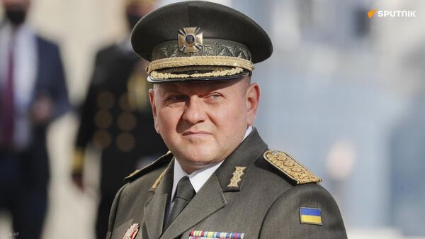 Une Cendrillon militaire? Qui est Valeri Zaloujny qui pourrait remplacer Zelensky? - Sputnik Afrique