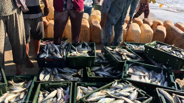 Petit poisson deviendra grand: la consommation de produits aquatiques va exploser en Afrique - Sputnik Afrique