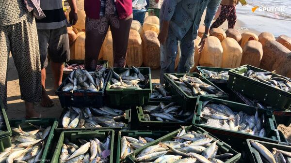 Petit poisson deviendra grand: la consommation de produits aquatiques va exploser en Afrique - Sputnik Afrique