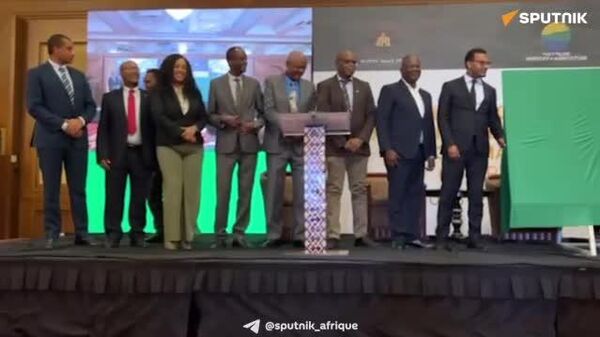 Sous-financement de l'agriculture: l'Éthiopie prend le problème à bras-le-corps - Sputnik Afrique