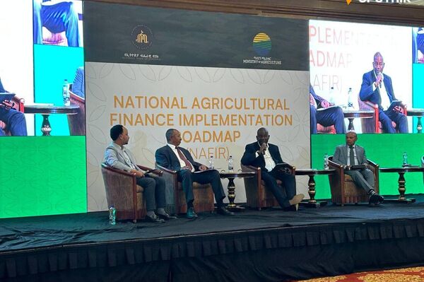Ethiopia Plants Seed for Financial Revolution in Agriculture With Launch of New Bold Plan Ethiopia Plants Seed for Financial Revolution in Agriculture With Launch of New Bold Plan - Sputnik Africa