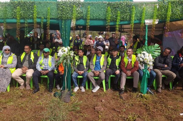 Ethiopia Plants 700 Million Trees in a Day: A Nation United for the Environment - Sputnik Africa