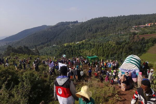 Ethiopia Plants 700 Million Trees in a Day: A Nation United for the Environment - Sputnik Africa
