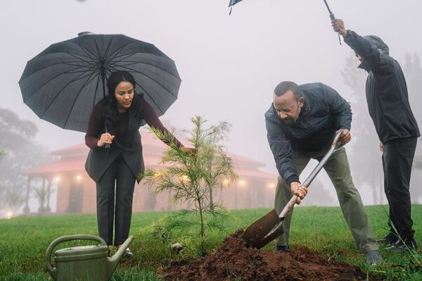 Ethiopia Plants 700 Million Trees in a Day: A Nation United for the Environment - Sputnik Africa
